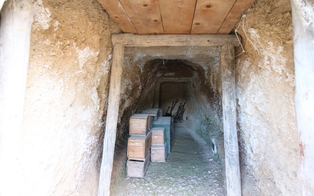 Próxima campaña de excavaciones arqueológicas en el Campamento