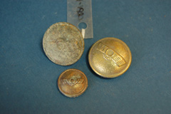 Botons de guerrera