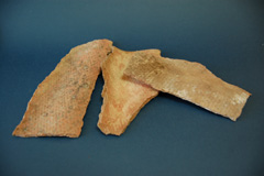 Uralites de les teulades dels barracots
